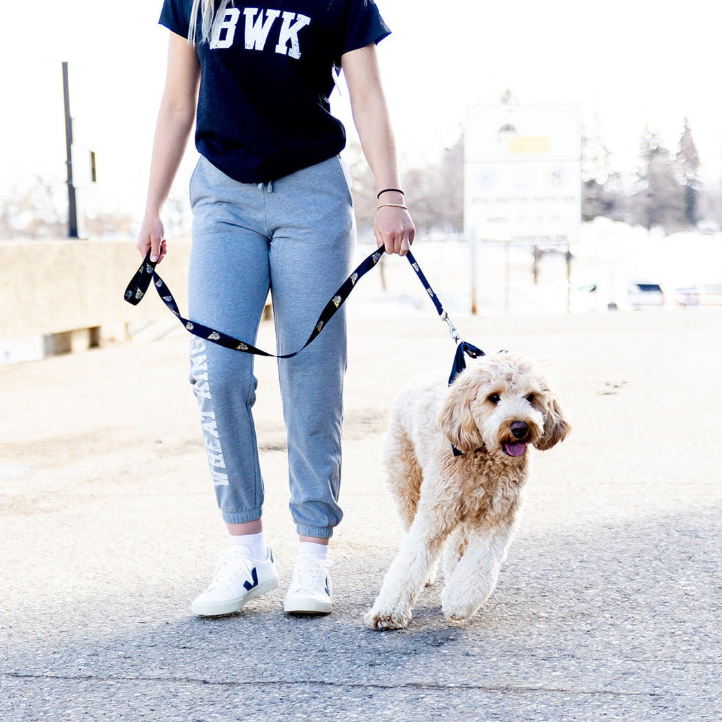 Wheat Kings Dog Leash