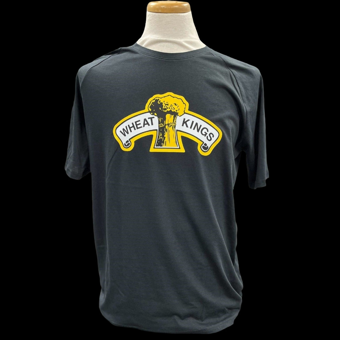 UA Men's Cotton Tee - Retro Logo