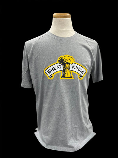 UA Men's Cotton Tee - Retro Logo